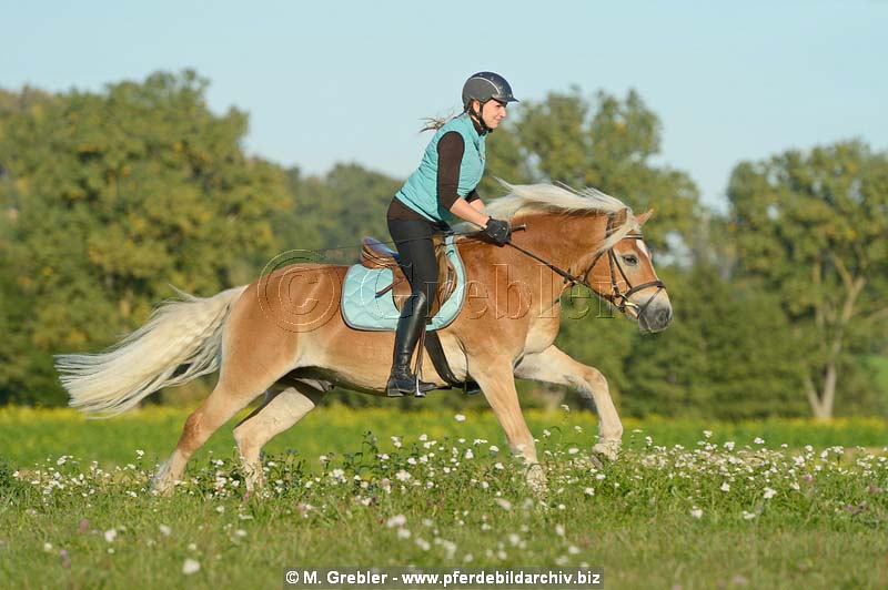 3120-081-21