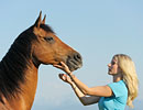 Frau mit Araber Pferd